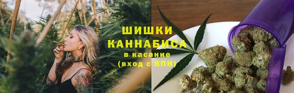 индика Вязьма